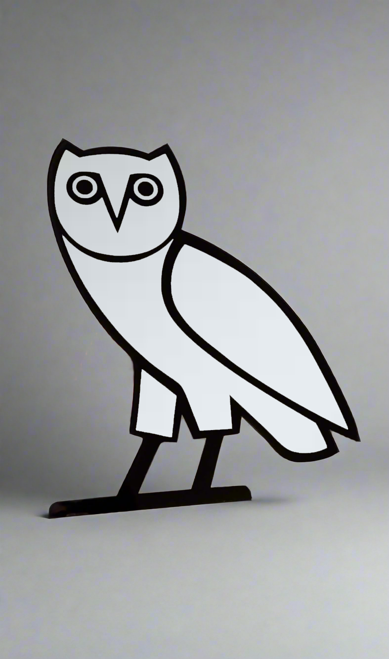 πππ ππ°π₯ ππ’π«π«π¨π«